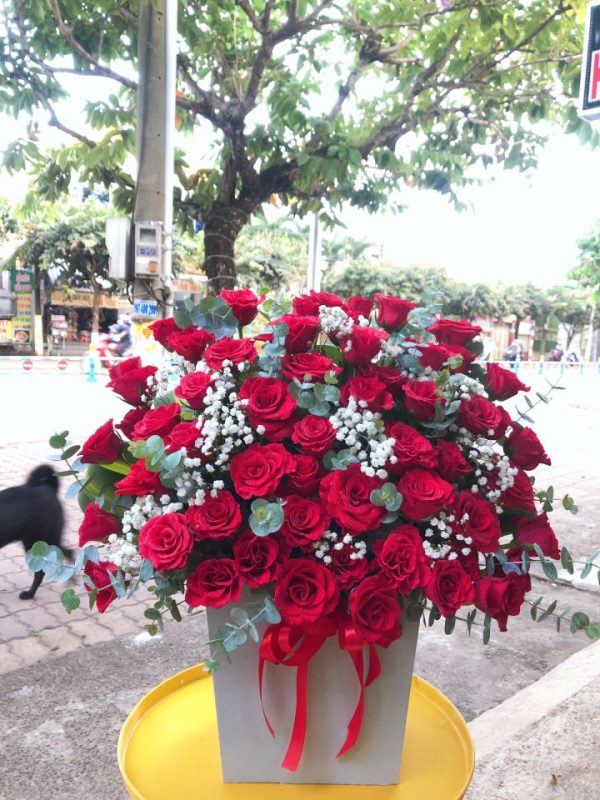 Shop Hoa Tươi Định Hóa, Thái Nguyên