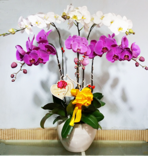 Shop Hoa Tươi Thị trấn Hùng Sơn, Đại Từ, Thái Nguyên