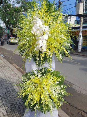 Shop Hoa Tươi Thị trấn Giang Tiên, Phú Lương, Thái Nguyên