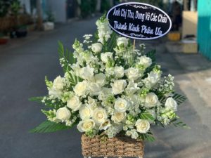 Shop Hoa Tươi Thị trấn Đu, Phú Lương, Thái Nguyên