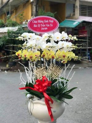 Shop Hoa Tươi Thị trấn Hùng Sơn, Đại Từ, Thái Nguyên