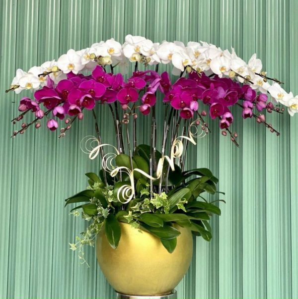Giao hoa tận nơi tại Thị trấn Hương Sơn, Phú Bình, Thái Nguyên