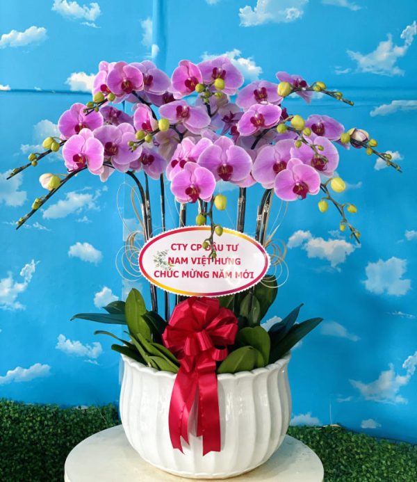 Shop Hoa Tươi Thị trấn Chợ Chu, Định Hoá, Thái Nguyên