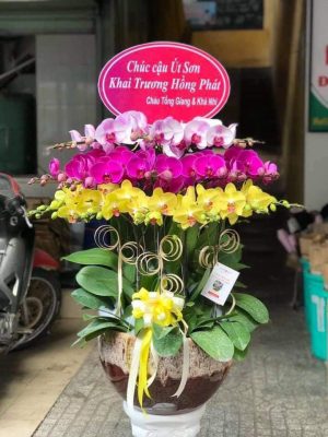 Shop Hoa Tươi Thị trấn Hùng Sơn, Đại Từ, Thái Nguyên